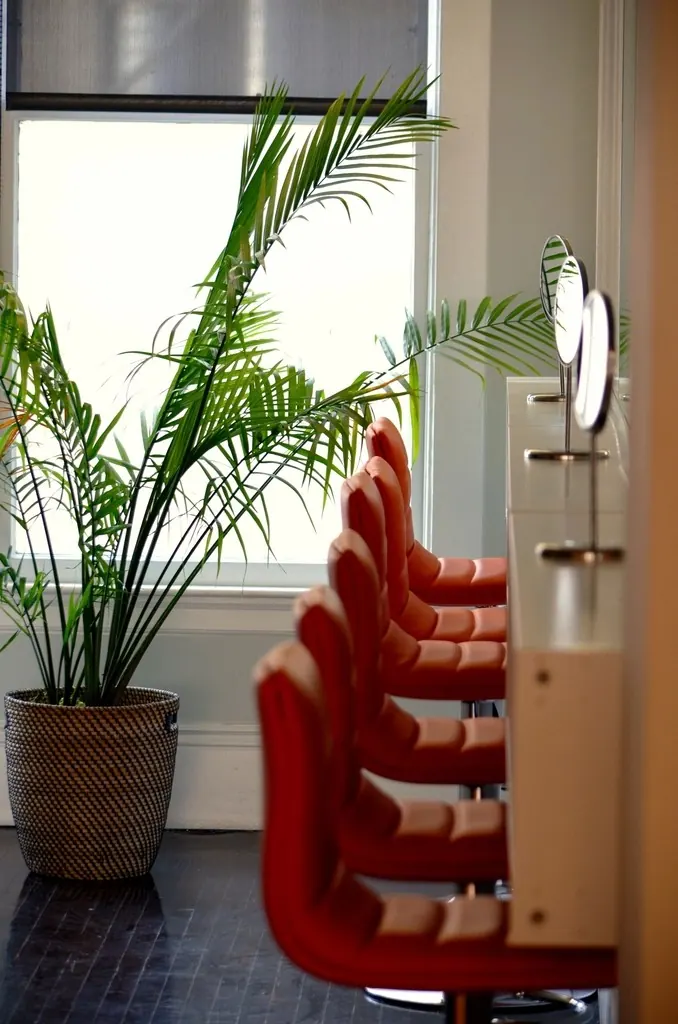 Row of red styling chairs beside a tall window and plants